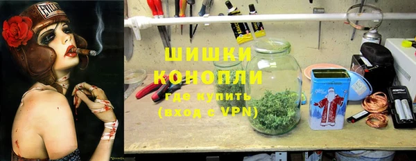 стаф Краснослободск