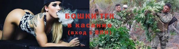 стаф Краснослободск