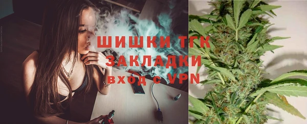 стаф Краснослободск
