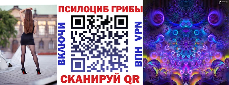 Псилоцибиновые грибы Psilocybe  Октябрьский 